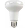 X-Flash Fungus R80 E27 10W 3K 220V